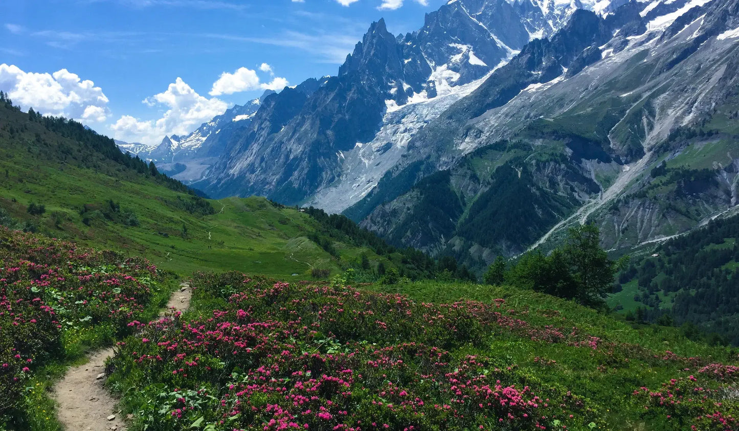 UNBREAKABLE TREK : TOUR DU MONT BLANC